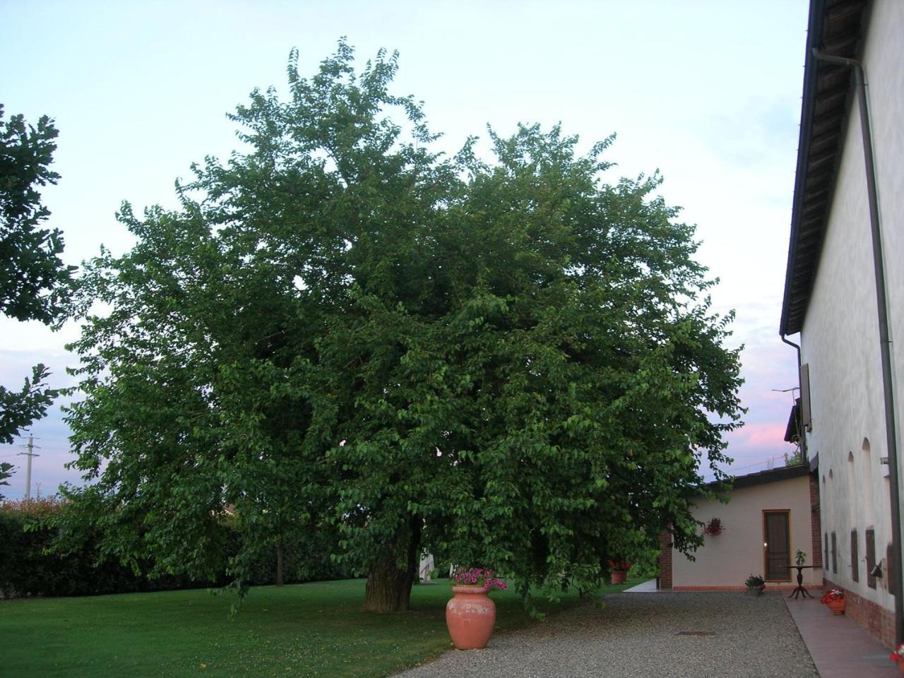Agriturismo Campass Castelvetro Piacentino Exterior foto